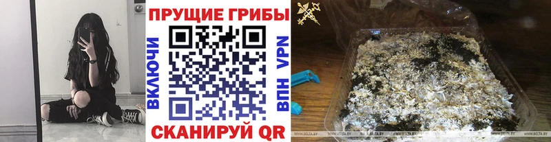 купить наркоту Слободской Галлюциногенные грибы мицелий