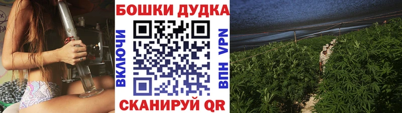 Бошки Шишки конопля как найти наркотики Слободской